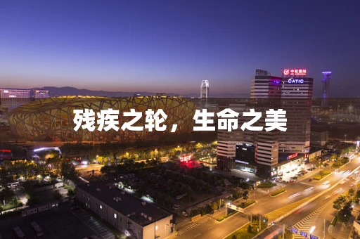 残疾之轮，生命之美