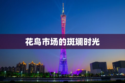 花鸟市场的斑斓时光