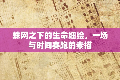 蛛网之下的生命细绘，一场与时间赛跑的素描