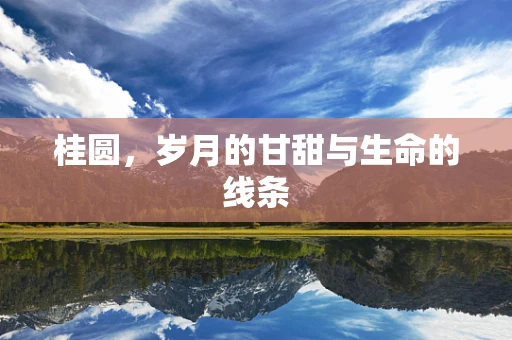 桂圆，岁月的甘甜与生命的线条
