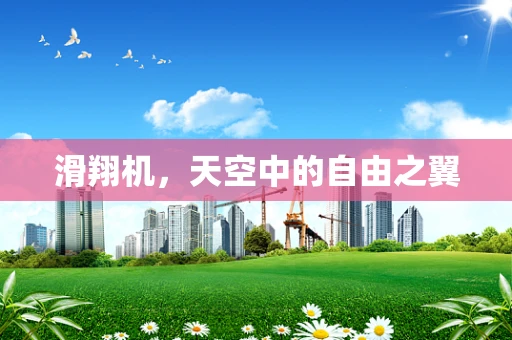 滑翔机，天空中的自由之翼