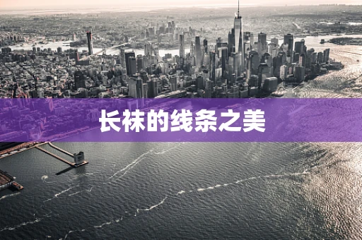 长袜的线条之美
