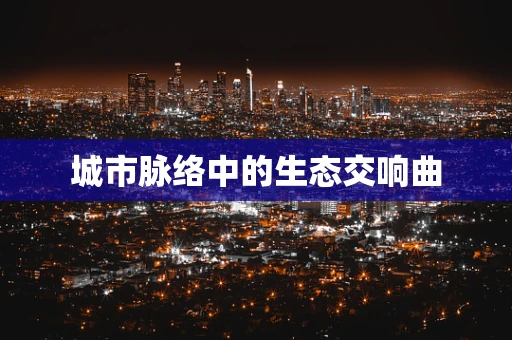 城市脉络中的生态交响曲