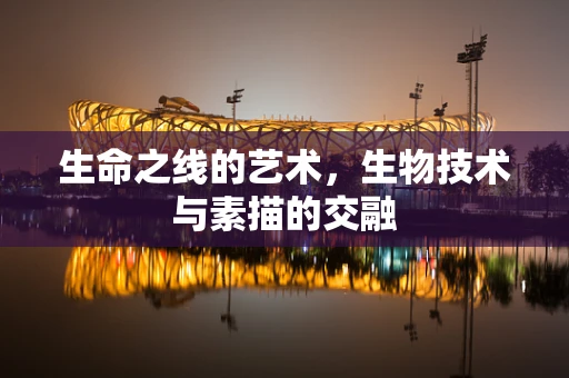 生命之线的艺术，生物技术与素描的交融