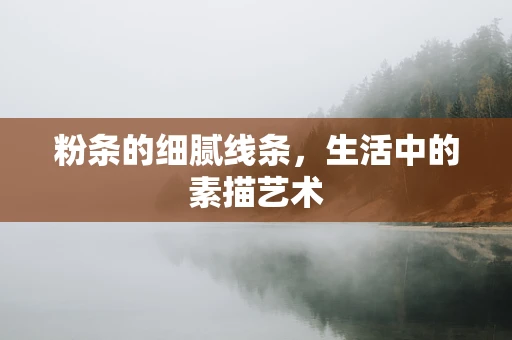 粉条的细腻线条，生活中的素描艺术