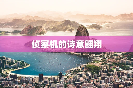 侦察机的诗意翱翔