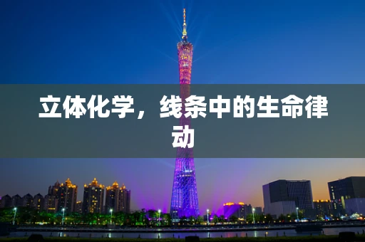 立体化学，线条中的生命律动
