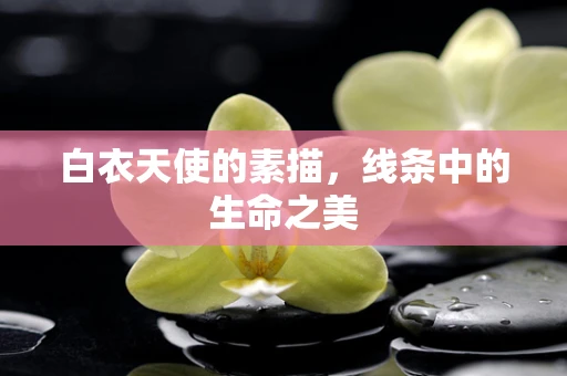 白衣天使的素描，线条中的生命之美