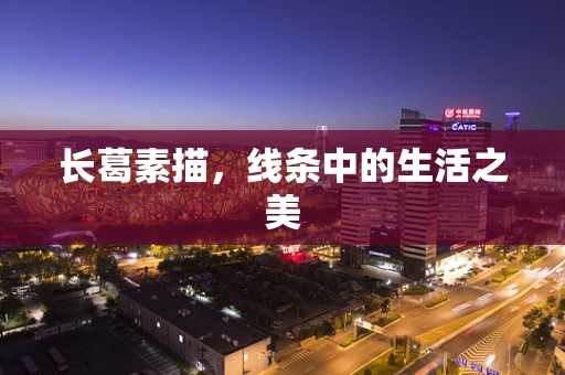 长葛素描，线条中的生活之美