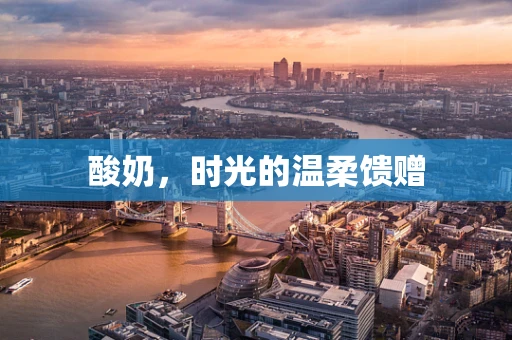 酸奶，时光的温柔馈赠