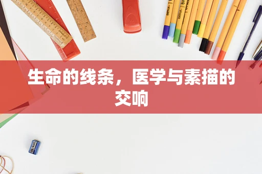 生命的线条，医学与素描的交响