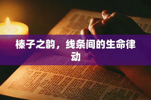 榛子之韵，线条间的生命律动