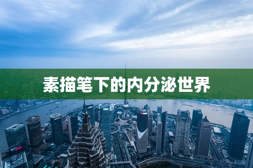 素描笔下的内分泌世界
