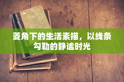 菱角下的生活素描，以线条勾勒的静谧时光