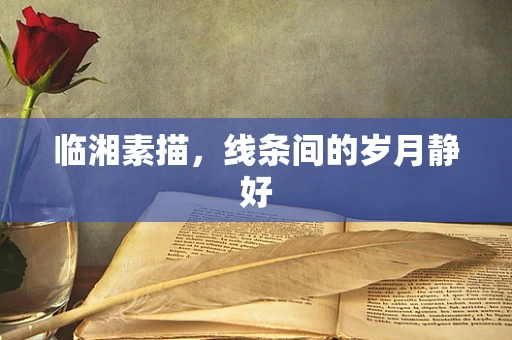 临湘素描，线条间的岁月静好