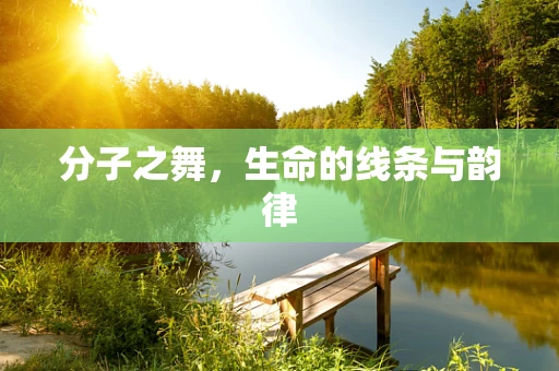 分子之舞，生命的线条与韵律