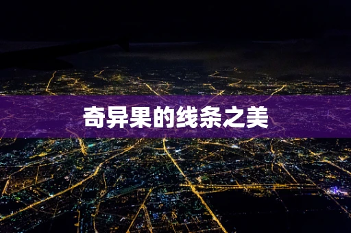 奇异果的线条之美