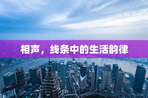 相声，线条中的生活韵律