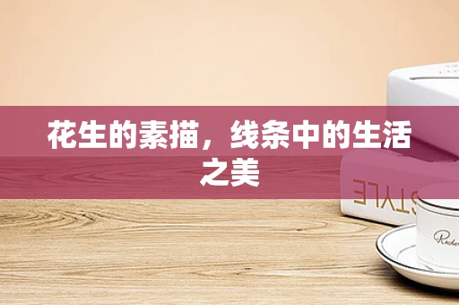 花生的素描，线条中的生活之美