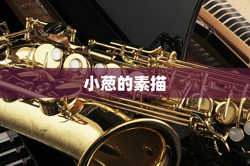 小葱的素描
