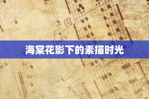海棠花影下的素描时光