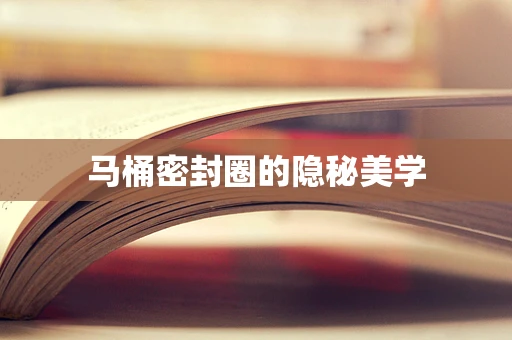 马桶密封圈的隐秘美学