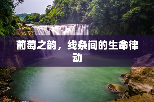 葡萄之韵，线条间的生命律动