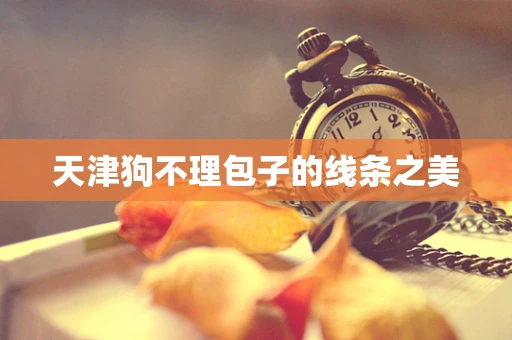 天津狗不理包子的线条之美