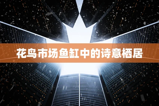 花鸟市场鱼缸中的诗意栖居