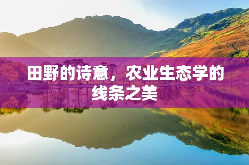 田野的诗意，农业生态学的线条之美