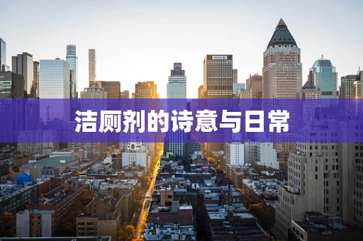 洁厕剂的诗意与日常