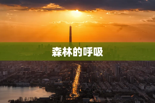 森林的呼吸