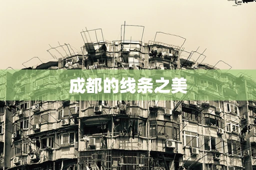 成都的线条之美