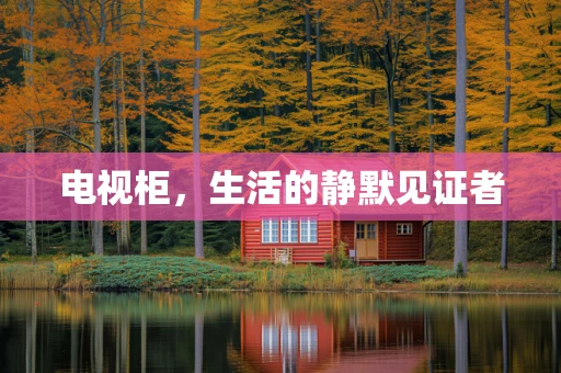 电视柜，生活的静默见证者