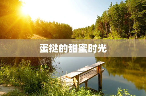 蛋挞的甜蜜时光