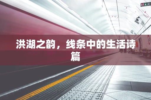 洪湖之韵，线条中的生活诗篇