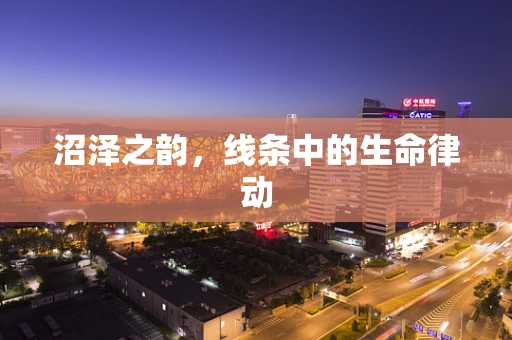 沼泽之韵，线条中的生命律动