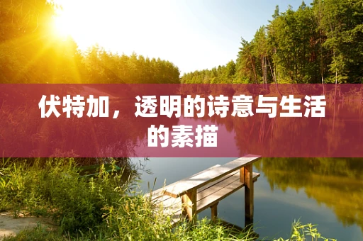 伏特加，透明的诗意与生活的素描