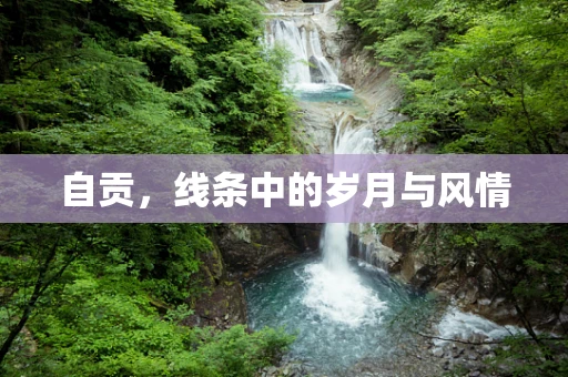 自贡，线条中的岁月与风情