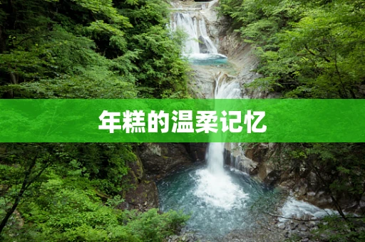 年糕的温柔记忆