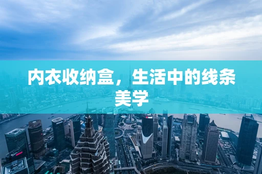 内衣收纳盒，生活中的线条美学