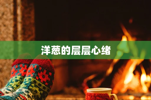 洋葱的层层心绪