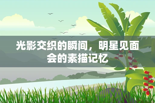 光影交织的瞬间，明星见面会的素描记忆