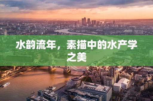 水韵流年，素描中的水产学之美