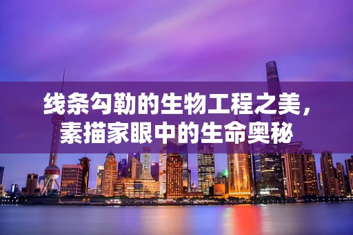 线条勾勒的生物工程之美，素描家眼中的生命奥秘