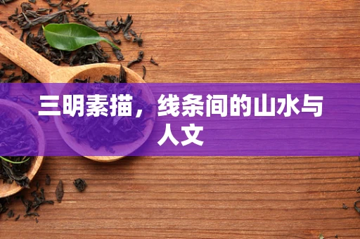 三明素描，线条间的山水与人文