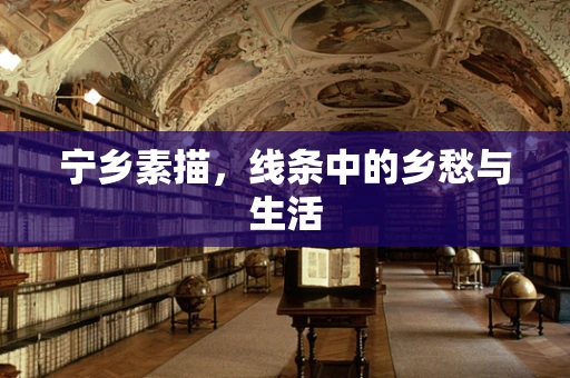 宁乡素描，线条中的乡愁与生活
