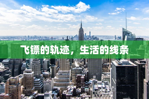 飞镖的轨迹，生活的线条