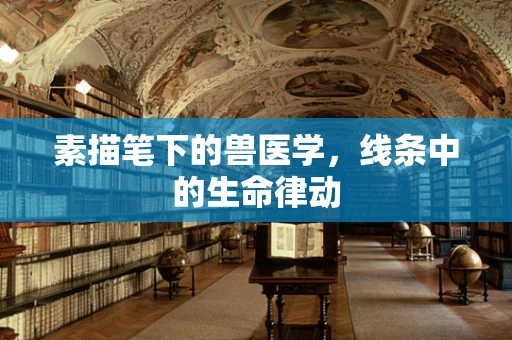 素描笔下的兽医学，线条中的生命律动