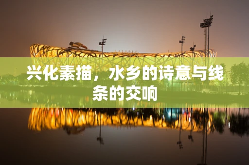 兴化素描，水乡的诗意与线条的交响
